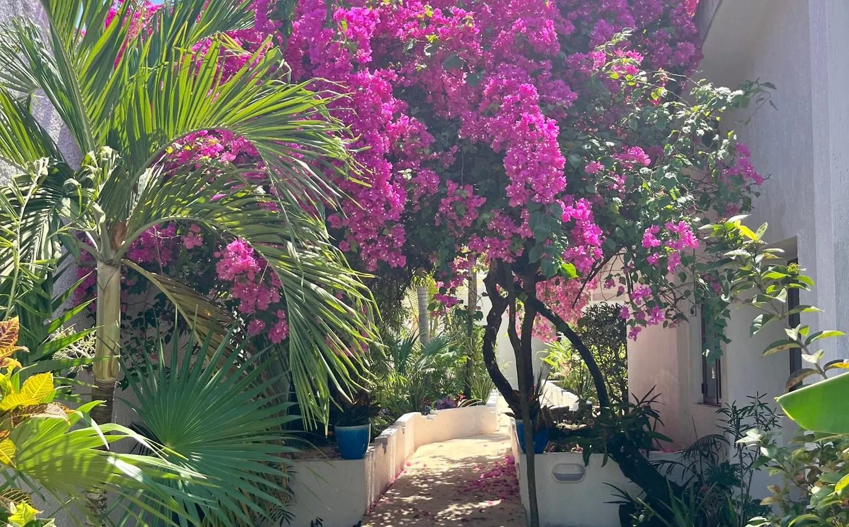Vakantiehuis Casita Sunray Private Pool And Beach Access, King Beds Akumal