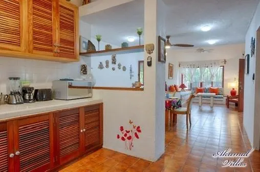 Casita Sunray Private Pool And Beach Access, King Beds Akumal Holiday home